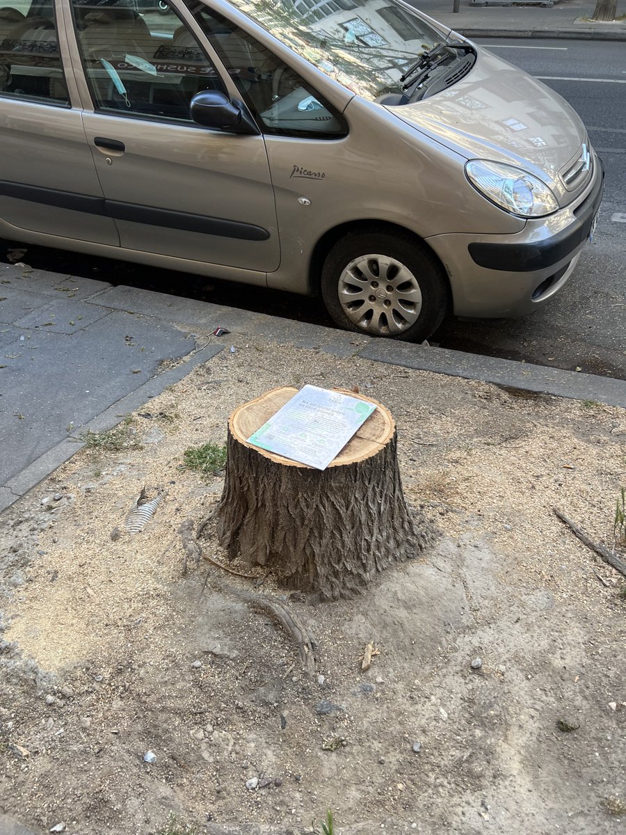 MatouEcureuil's tweet photo. Comment ça se combine avec l’abattage systématique des arbres à Paris ? #saccageparis https://t.co/uUm1Qw3N1e