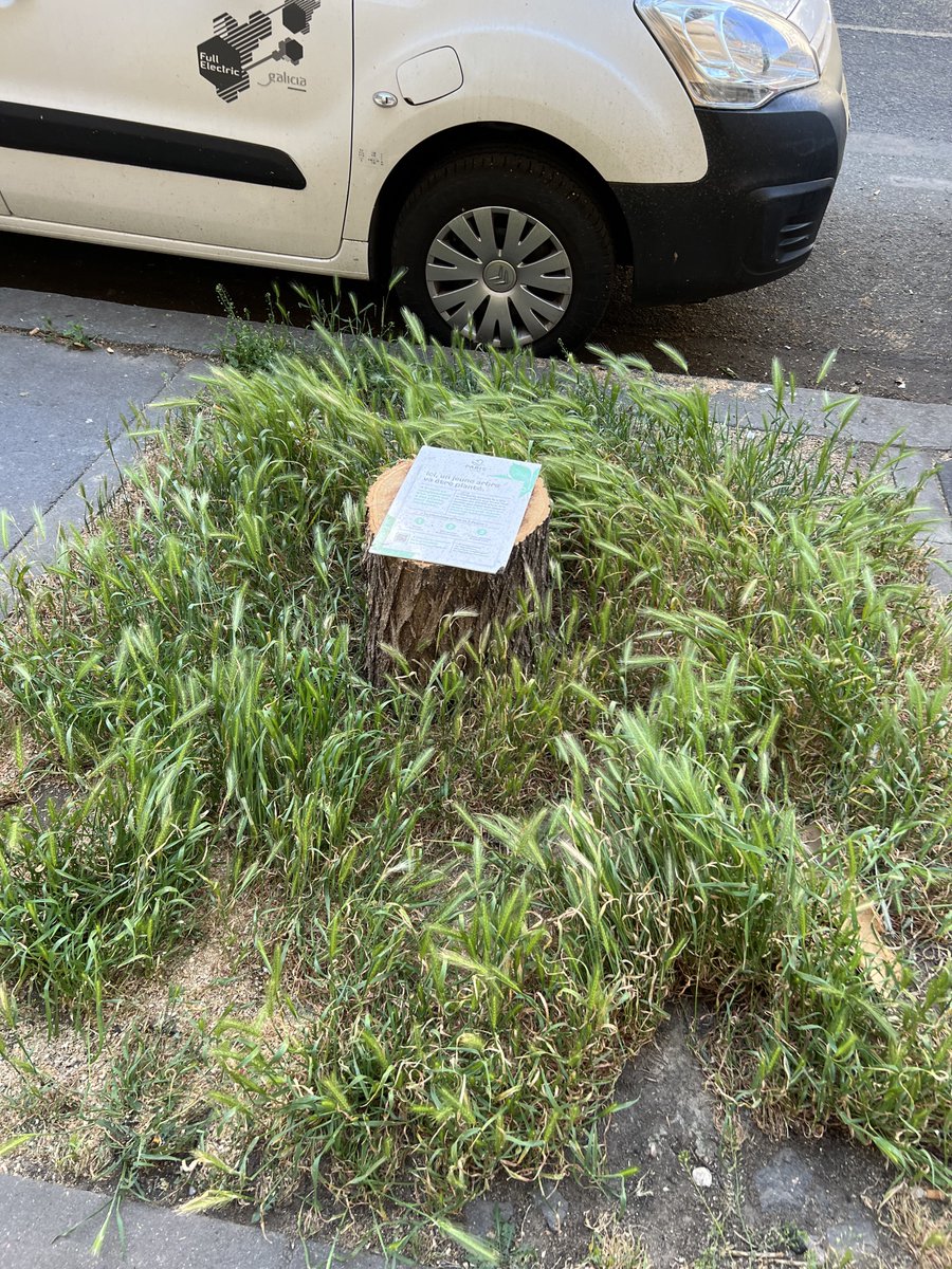 MatouEcureuil's tweet photo. Comment ça se combine avec l’abattage systématique des arbres à Paris ? #saccageparis https://t.co/uUm1Qw3N1e