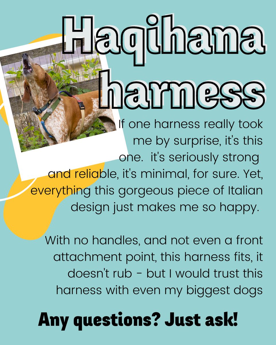 Whilst it's spartan, it is a wonderful harness that really gives you 110% for every feature it does have - and honestly? It exceeds so many of it's competitors by a country mile.

#dogsoftwitter

rebarkable.com/haqihana-dog-h…