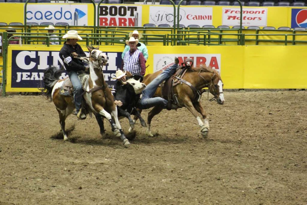 sujongd1's tweet photo. CNFR Evening Performance 1 Live Stream Online On 14 June 
🔴GO LIVE🔴📺🥊👉https://t.co/WKS7nhFv8m
 
Casper Night
Performance #1 at 7:00 pm
Tradeshow re-opens at 5:30 pm
1st Performance
1st Go-Round Ring Presentation after Steer Wrestling
#CollegeNationalFinalsRodeo https://t.co/QGPr5yati2