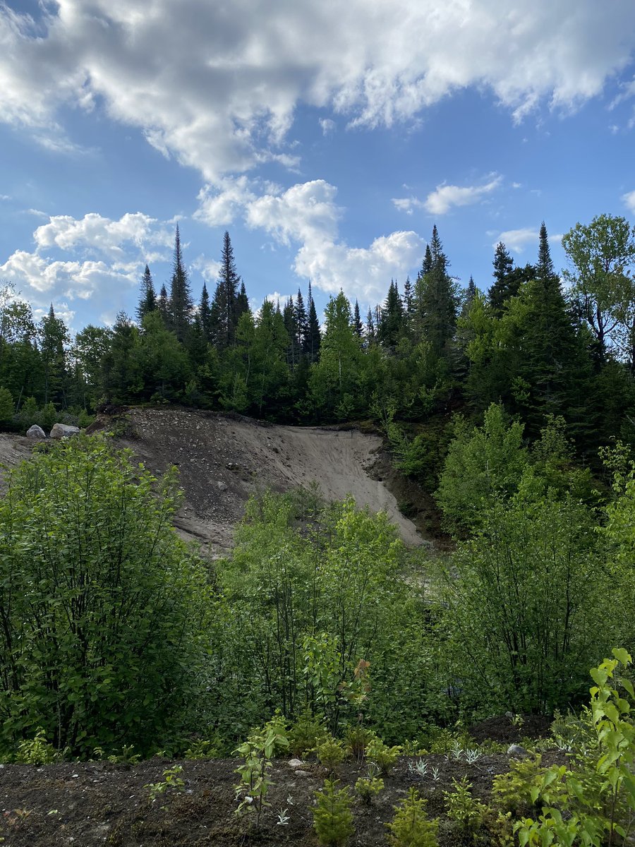 carlman40's tweet photo. Nature https://t.co/9zNRA5LqDJ