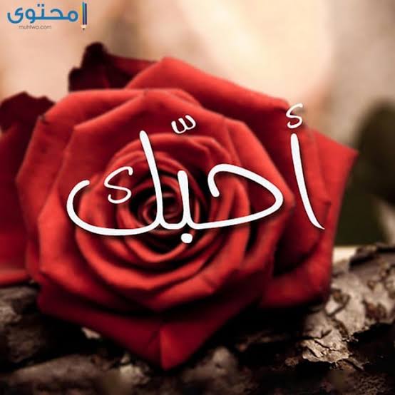 mmaro7875's tweet photo. #بحبك_لانك https://t.co/7tRO9uS1Bl