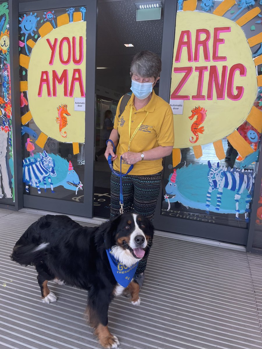 LaurenTedaldi's tweet image. WOOF!! AMAZING Bailey and AMAZING Volunteer Liz Stringer doing important work @GreatOrmondSt today in front of our lovely new door art! 🐕 😍🐾