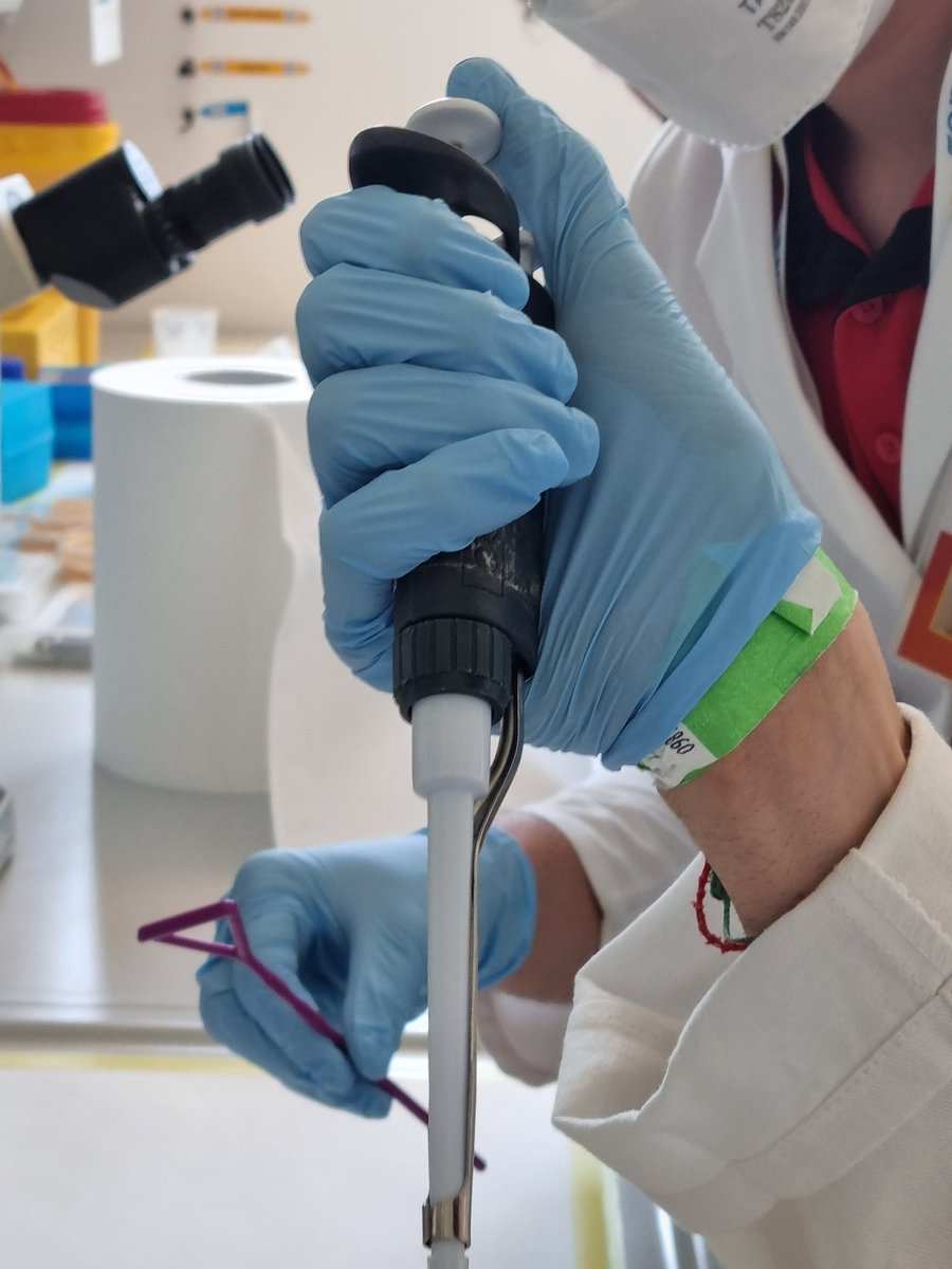 adamascienza's tweet photo. Mani a lavoro a #SummerInScience https://t.co/nbhvcgmO5b