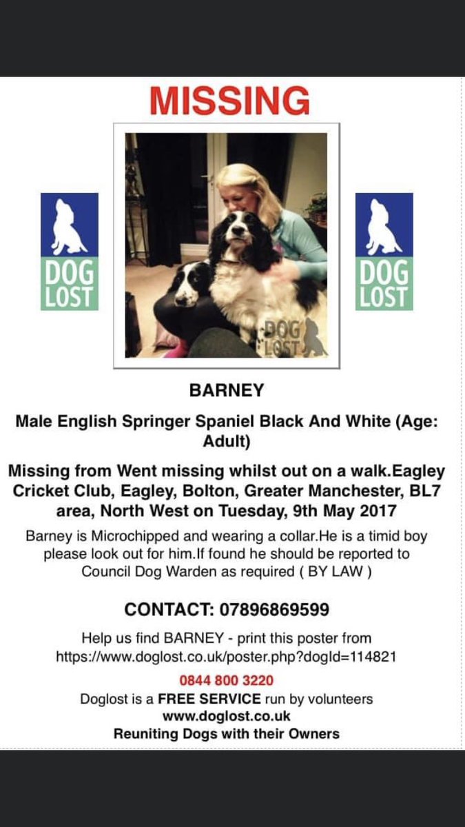 RachaelB100's tweet photo. BARNEY 
5 Years Still #Missing Since 9/5/17
Male #ESS Blk &amp; Wte #Chipped

Went missing on a walk Eagley Cricket Club #EAGLEY #BOLTON #BL7 

https://t.co/cL9FjnnQeF

BARNEY Doglost link https://t.co/TQsZF1WLFD https://t.co/sabski50P7