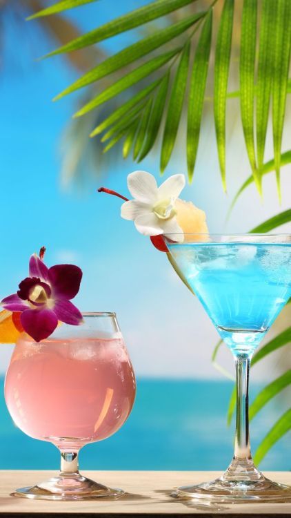 @CassinDe23 @MOCA7500 @papounay2000 @catfan57200 @JeanneReinhart @Papounay_ @limon_jaime @Franc_de_Sousse @hagaysobol Je te rejoins illico presto et j'apporte les cocktails bien frais🍹😉 #MaDenise 💋 🍃 🐁 
Agréable après-midi à toi et #tous 💙 à l'ombre 😏