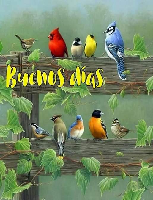 Martin alperin y wendy Castillo (@martnalperin1) on Twitter photo 