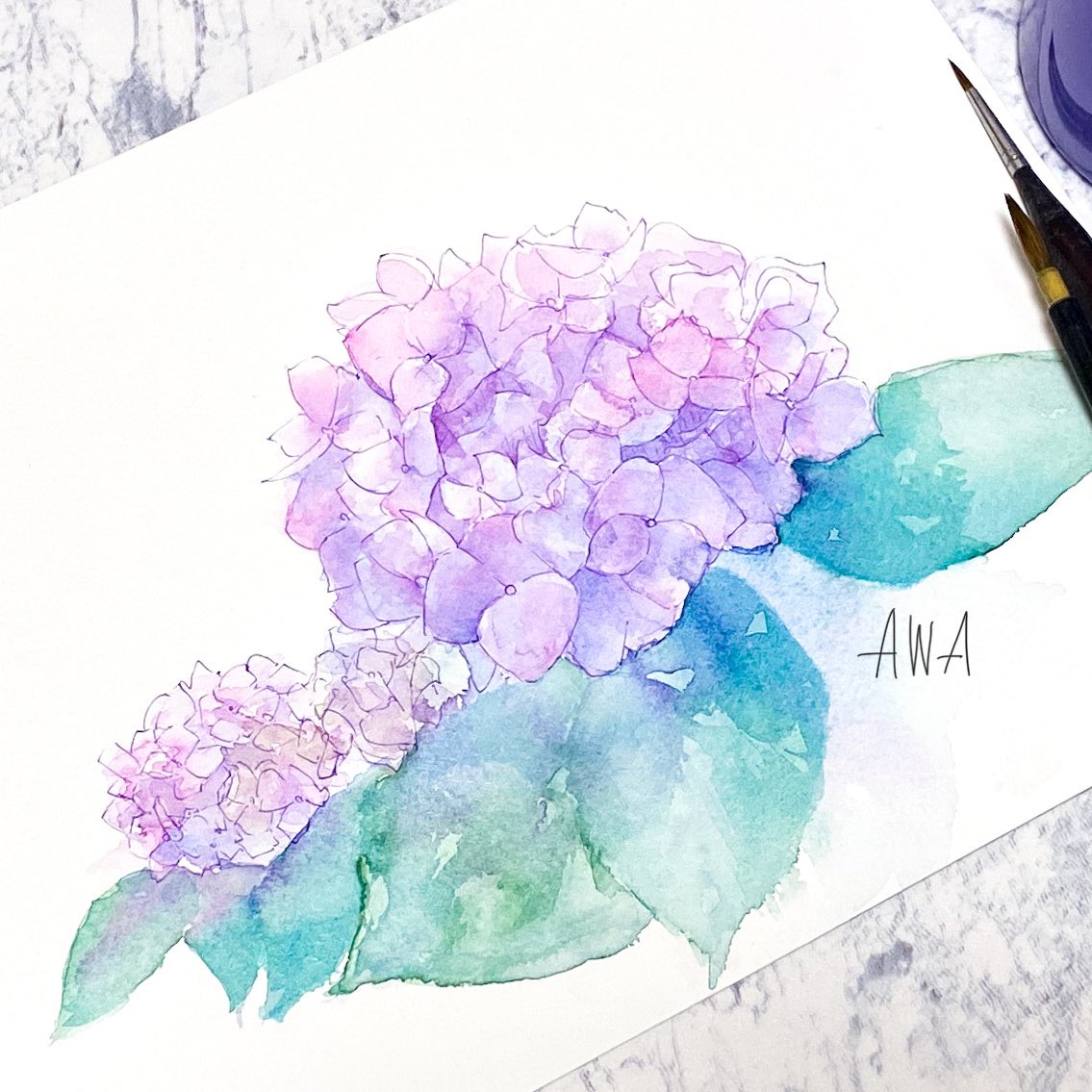 「6月といえば紫陽花!ということで紫陽花さん!
紫陽花と透明水彩の滲みってとてもぴ」|Awa＊ふわもこ堂の水彩屋さんのイラスト
