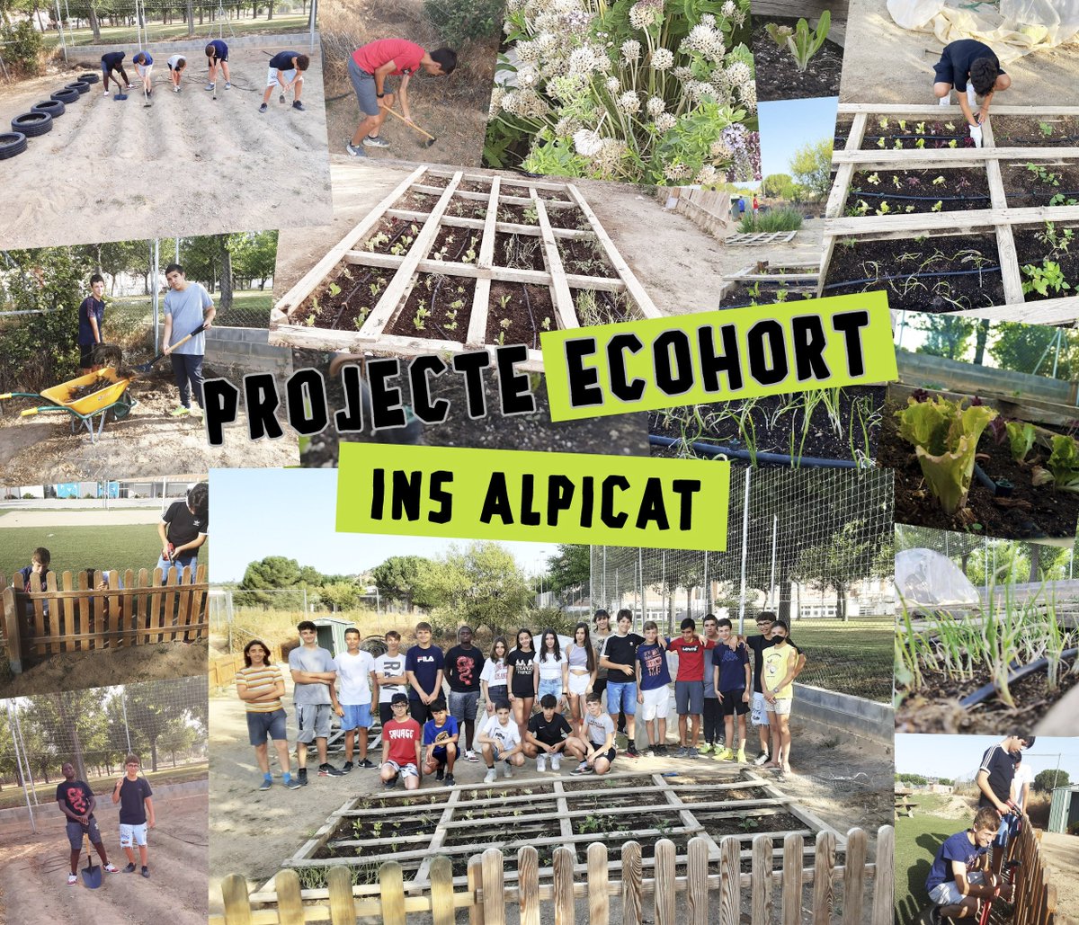 Institut d'Alpicat tweet media