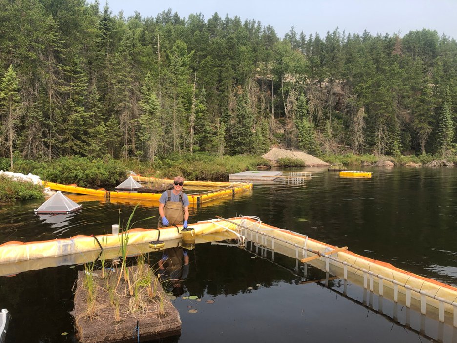 Mr_AdamScott's tweet photo. Hey there pal, do you like science? freshwater lakes? tadpoles? Do you like characterizing the effects of crude oil exposure on wood frog development? Welp, that’s specific but turns out I do! Follow along for an educational experience #LaurentianPrairieResearch @SETAC_PNC 1/11 https://t.co/bAFQfbTX7C