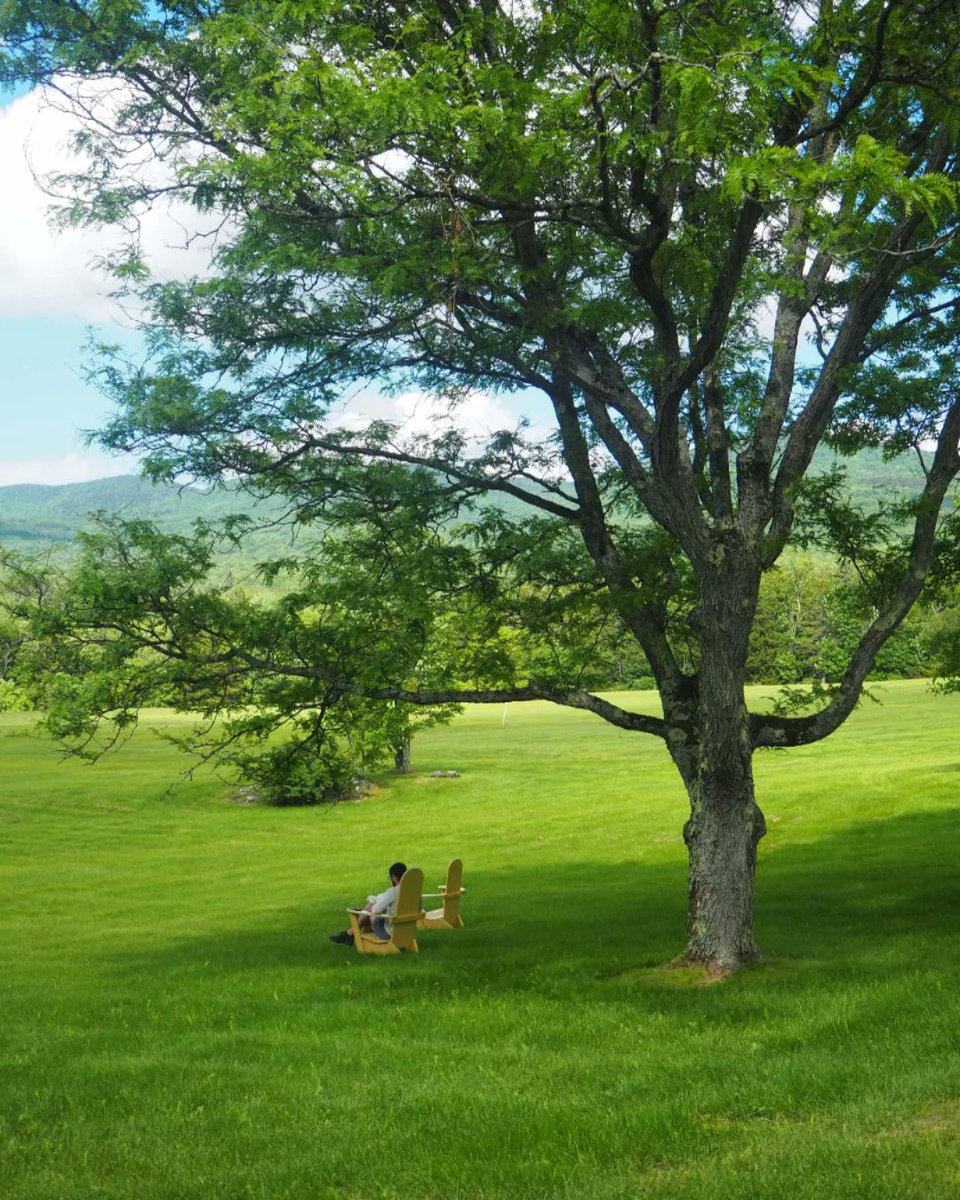 pitchaya's tweet image. Folks have arrived to #BreadLoaf2022, and the Adirondack chairs are no longer lonely. The same for my book at the conference bookstore, among those by other environmental and translation faculty members. #BreadLoaf #BLWC