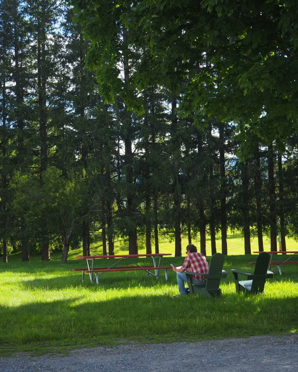 pitchaya's tweet image. Folks have arrived to #BreadLoaf2022, and the Adirondack chairs are no longer lonely. The same for my book at the conference bookstore, among those by other environmental and translation faculty members. #BreadLoaf #BLWC