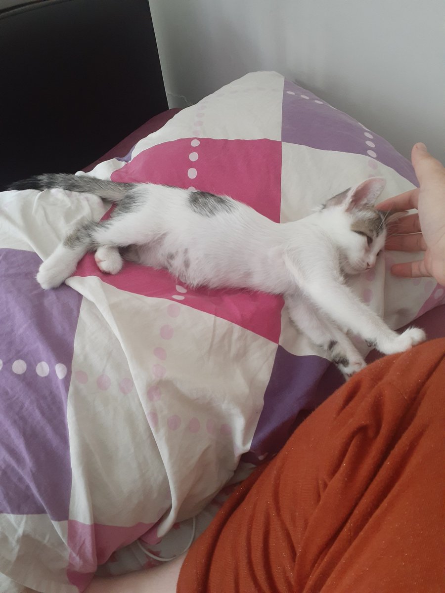 SarahNotSingle's tweet image. does anyone like the man?