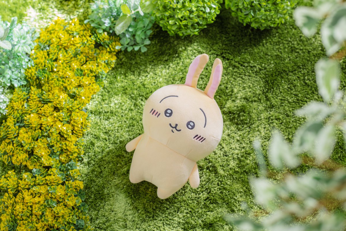 🍜再入荷のお知らせ①🍜 下記商品を再入荷いたしました🧸 ・ぬいぐるみ