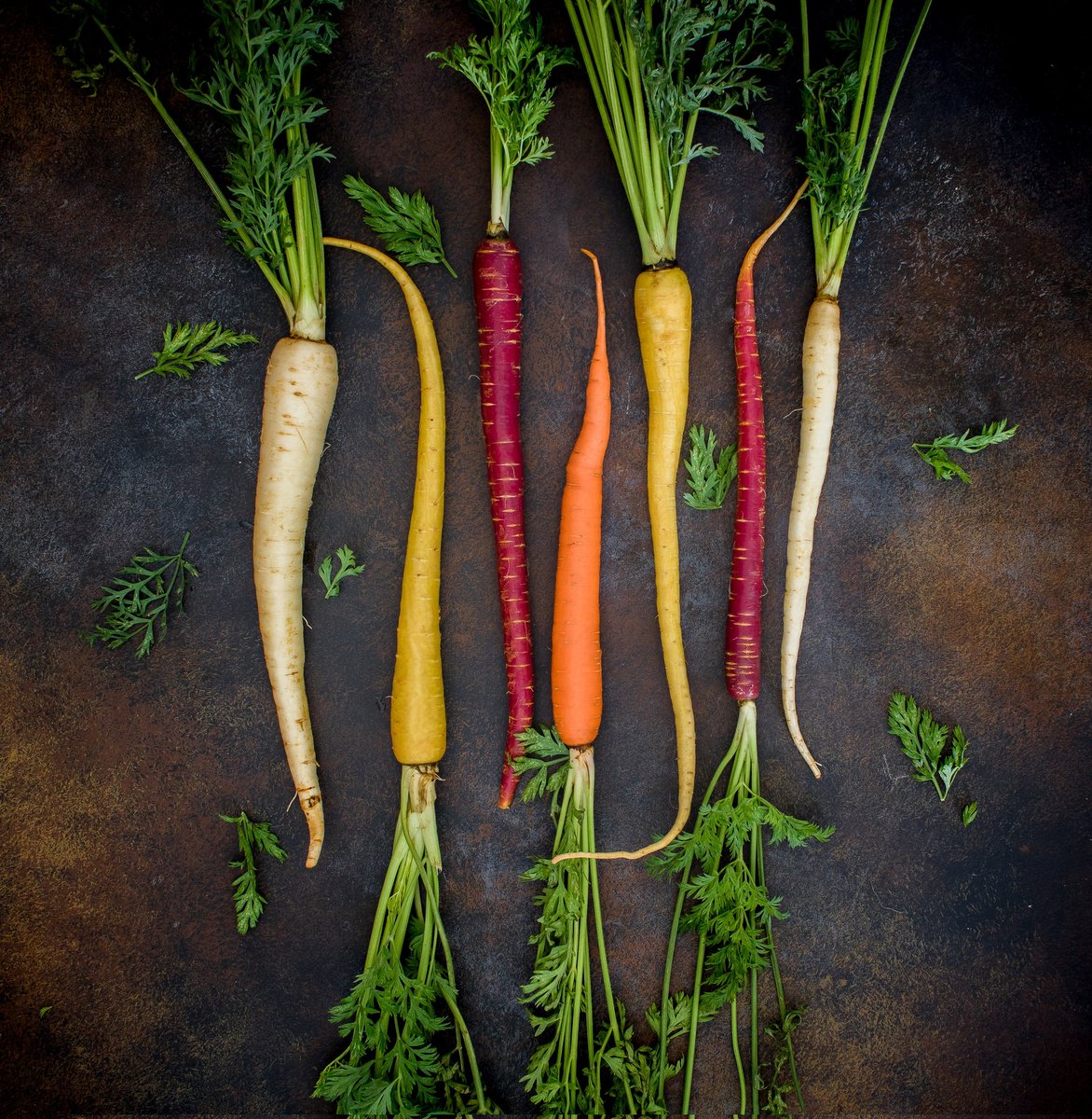 TheChefTash's tweet photo. Tipsy Tuesdays

The original colour of 'domestic' carrots is purple, with wild 1's being ivory.

#KnowWhatsInYourFood

As I've mentioned before, there's a direct correlation between the colour of fruit &amp; veg with their nutritional value.

A thread
#Foodie #TipsyTuesday #ChefTash https://t.co/qSvLFC56p7