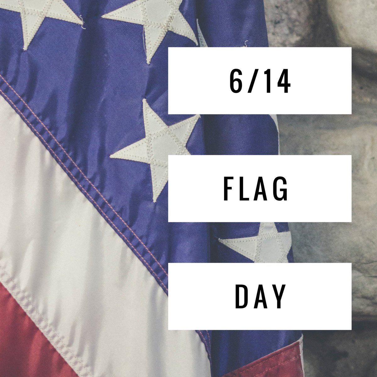 It's Flag Day! Don't forget to wave that RED, WHITE, and BLUE! 🇺🇸🇺🇸🇺🇸🇺🇸

#eSucceedUNITE