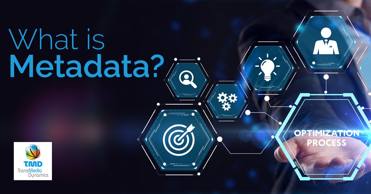 TransMedia Dynamics tweet media