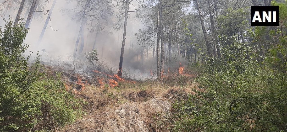 Himachal Pradesh | A fire broke out in the forest area near the Jubbarhatti airp... - Kannada News