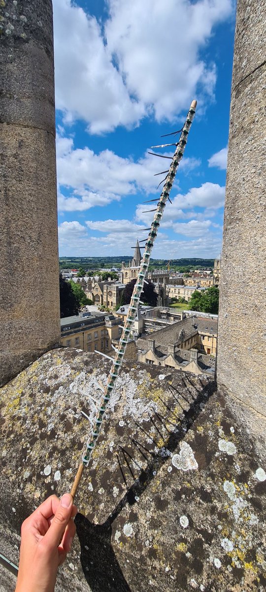 tash_gillies's tweet photo. After a nearly 3-year hiatus, getting back into fieldwork today by calibrating some @LotekWireless GLS in preparation for imminent fieldwork to #Svalbard. Enormous thanks to @MertonChapel for letting me do so from their roof - not much open sky in Oxford! #seabirdscience https://t.co/gGhO7gRF34