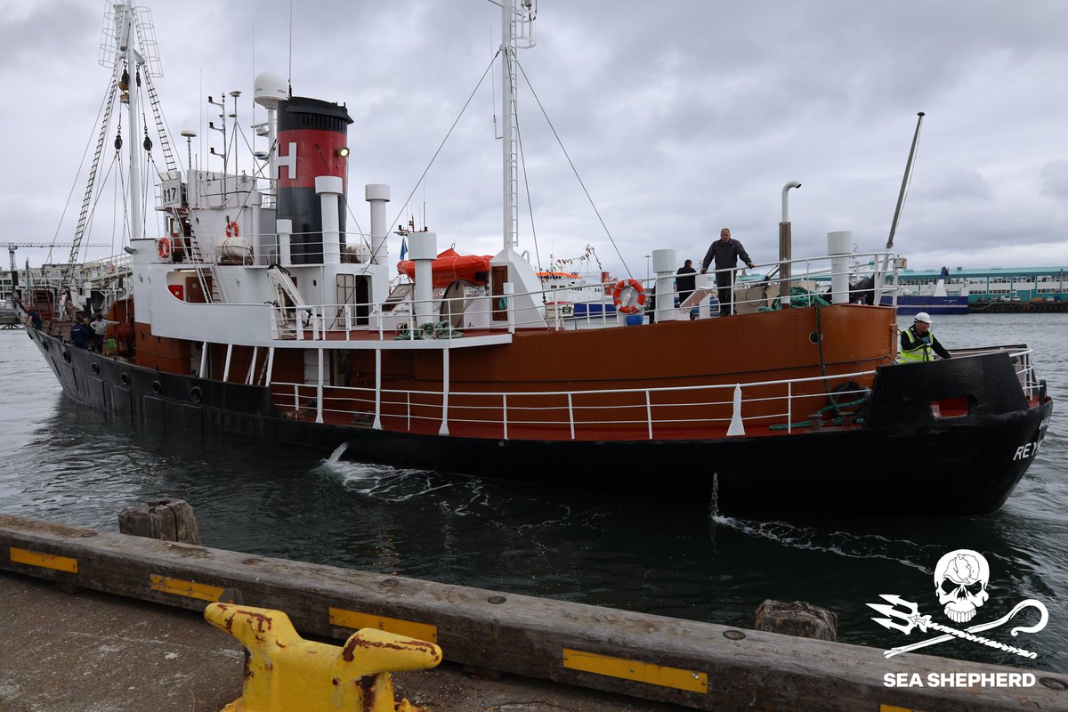 NeptunesPirates's tweet photo. Sea Shepherd announces ‘Operation Northern Exposure’ - our latest campaign against commercial fin whaling in Icelandic waters
Read more at: https://t.co/aaFphLjPbV
#whaling #loftsson #hvalfjordur #hvalur #iceland #SeaShepherd https://t.co/PPze6jmv7Q