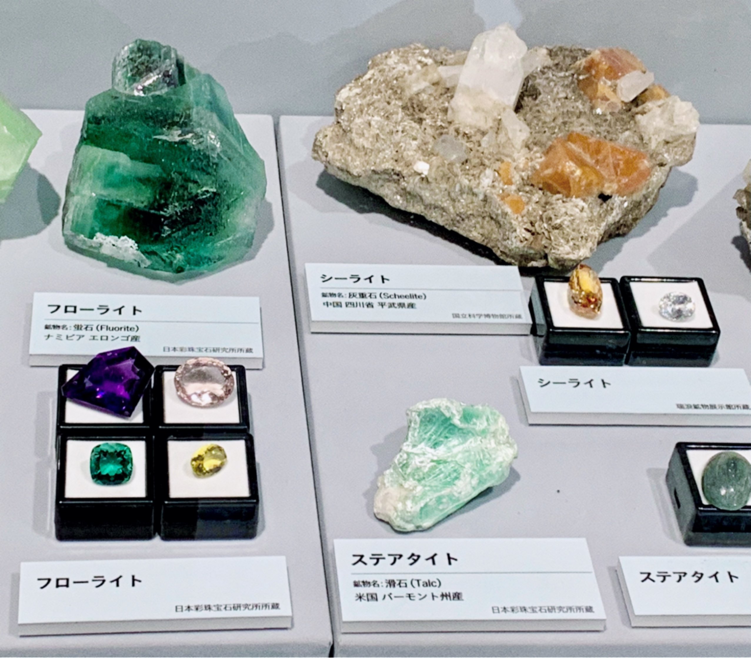 تويتر Tamago على تويتر 親孝行がてら母親を東京観光に連れて行って 宝石展 ディオ ルの香水をプレゼントした T Co Lu0wix36nb