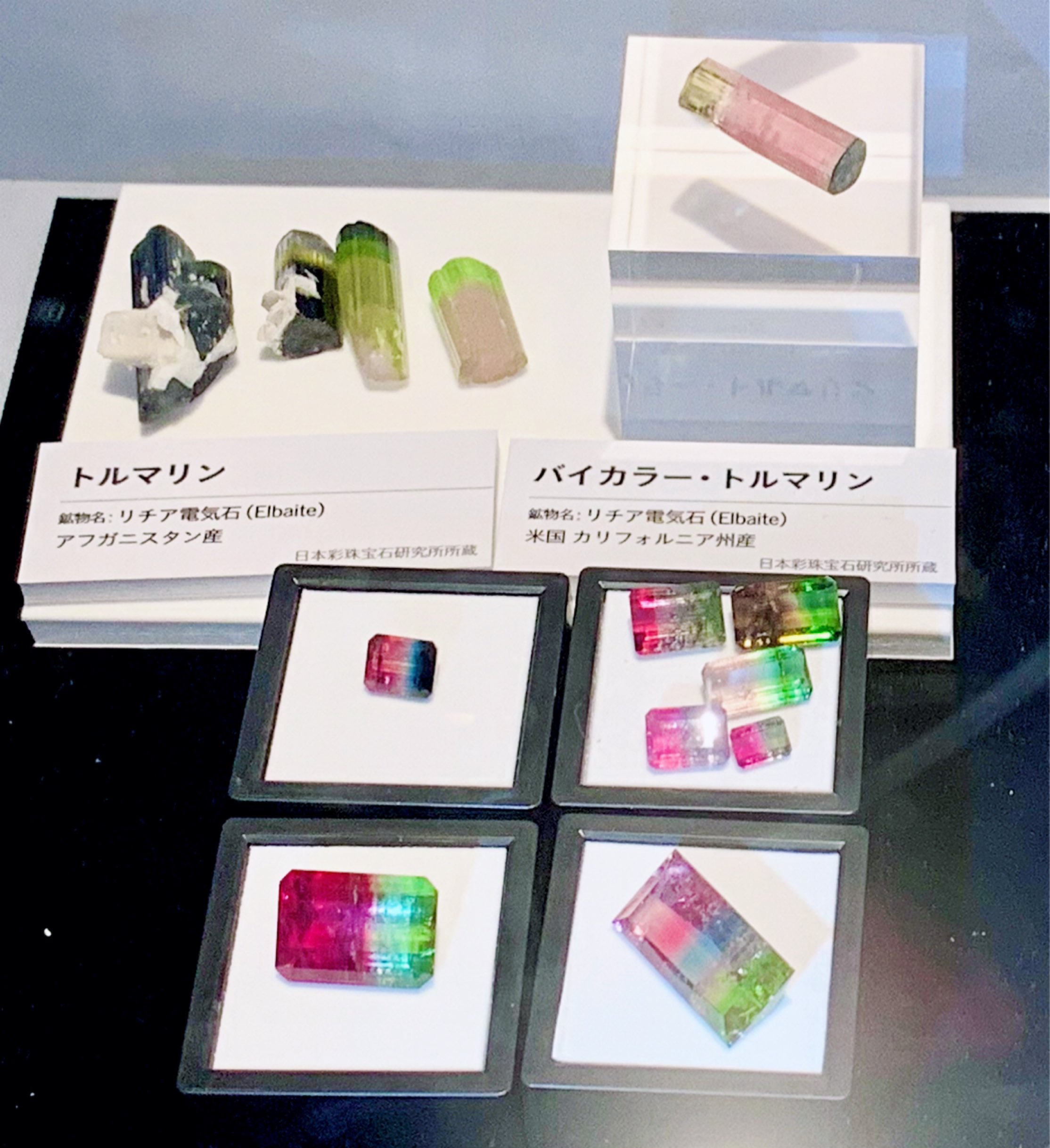 تويتر Tamago على تويتر 親孝行がてら母親を東京観光に連れて行って 宝石展 ディオ ルの香水をプレゼントした T Co Lu0wix36nb
