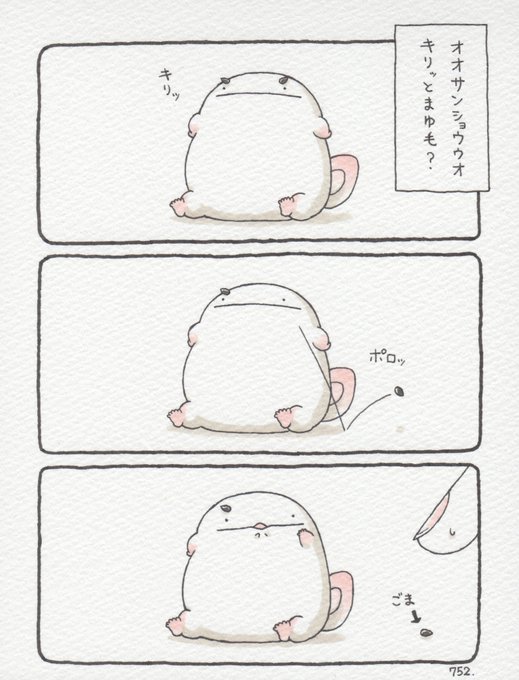 オオサンショウウオ、キリッとまゆ毛? 