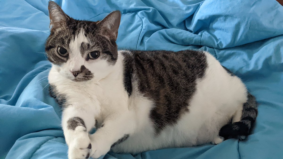 Traci Franklin Ball tweet media