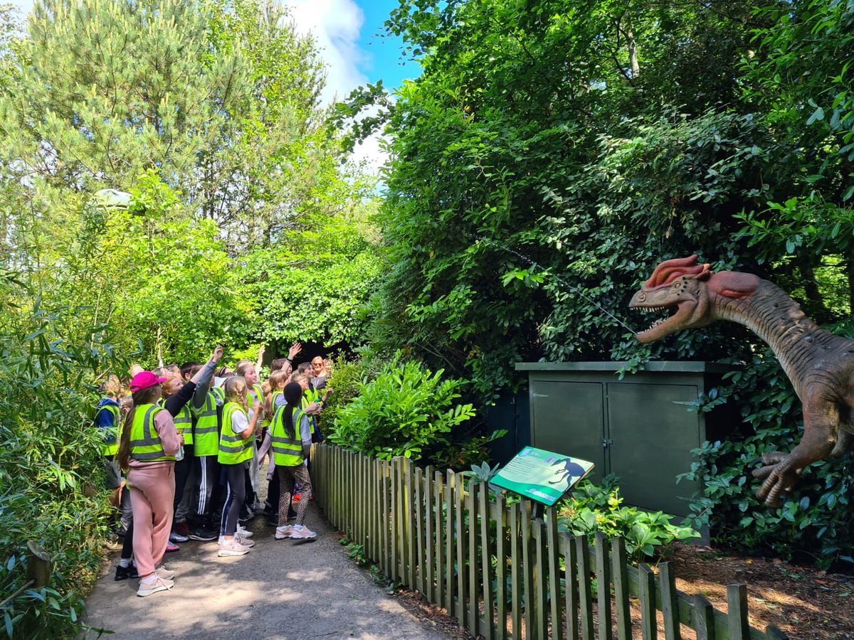 Year 6 had a great day at <a href="/BlackpoolZoo/">Blackpool Zoo</a> yesterday! A big thank you to the staff/volunteers who took them. #year6 #stchads #poulton #blackpool #blackpoolzoo #dinosaurs #sunnyday