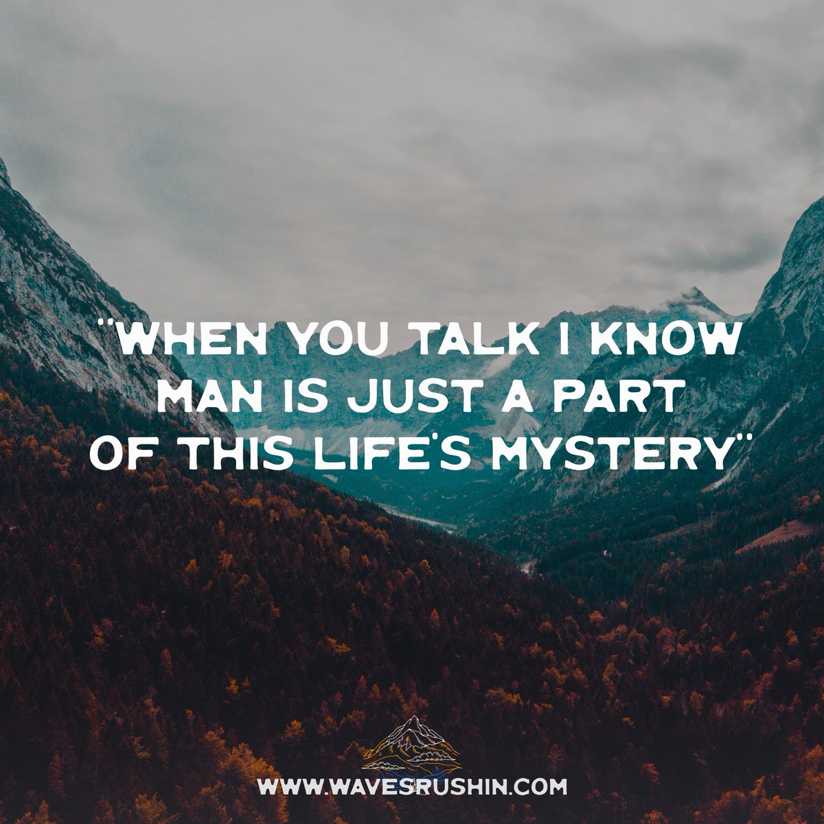 WavesRushIn's tweet photo. Join the community 💫
https://t.co/UOGvRli16J
#wavesrushin #music #quoteoftheday https://t.co/xXNCgS1JtB
