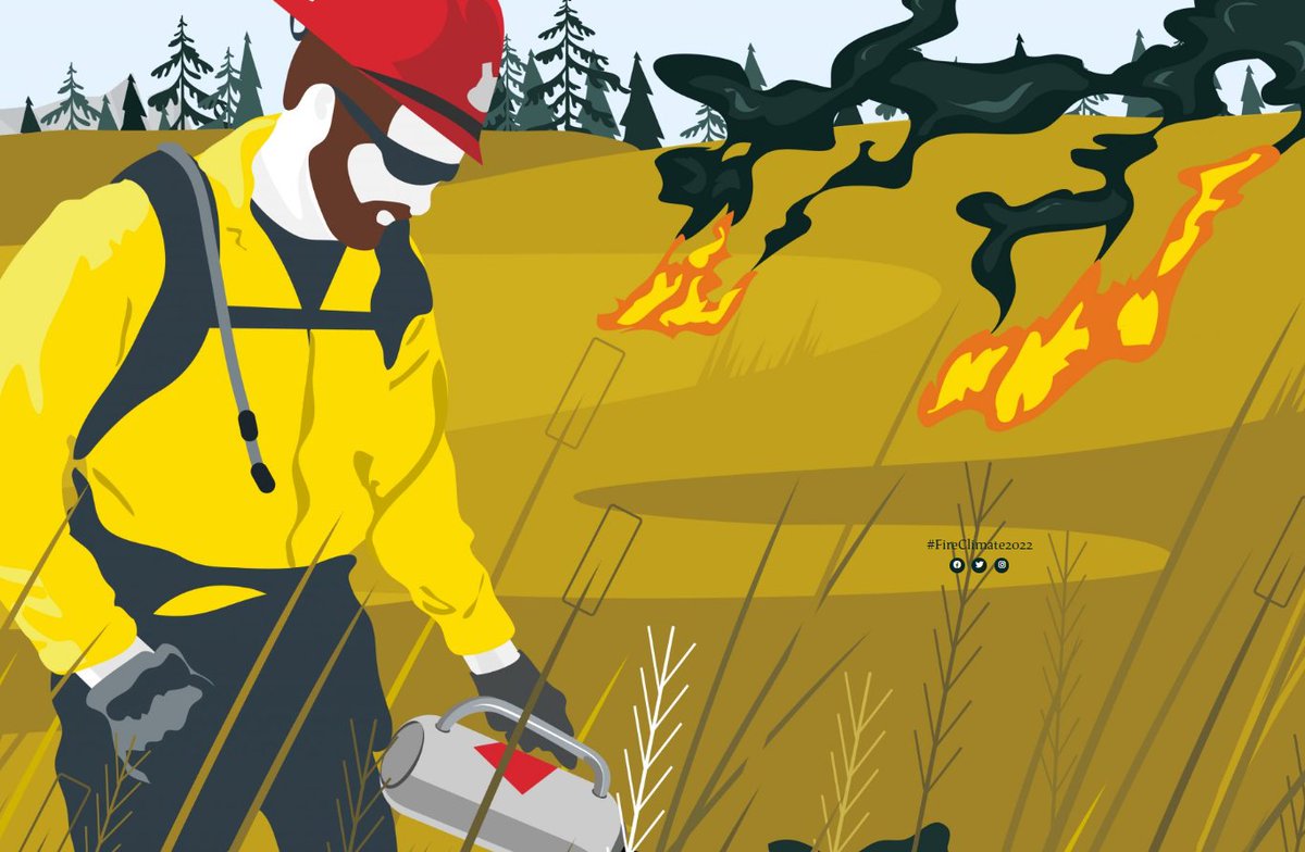 Bushfire Hub tweet media