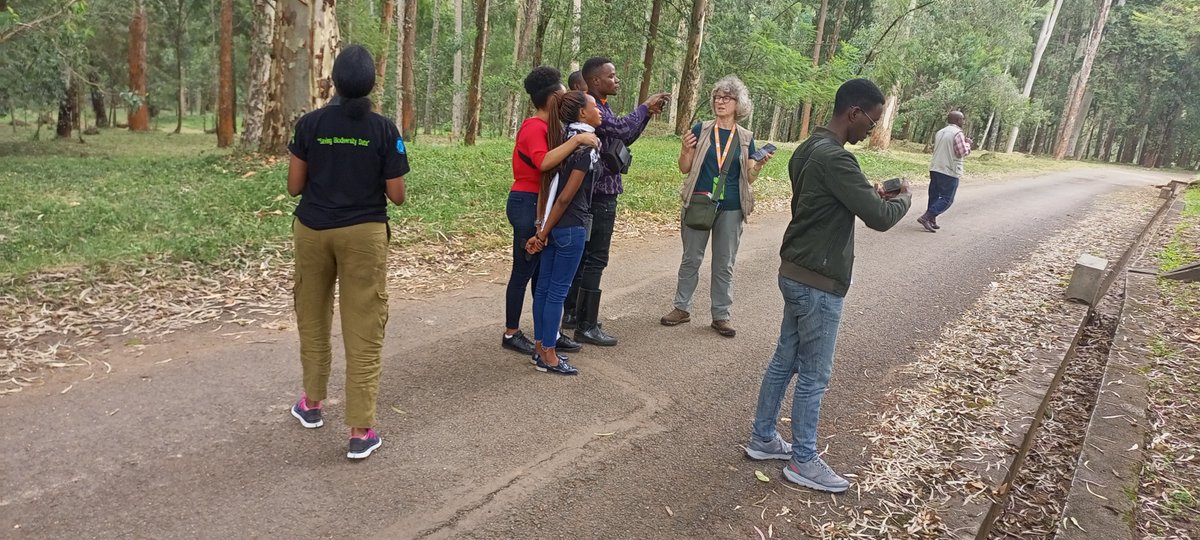 We appreciate <a href="/BirdsongPlanet/">PlanetBirdsong</a>'s collaboration with <a href="/CoEBrwanda/">Center of Excellence in Biodiversity & NRM</a> <a href="/Uni_Rwanda/">University of Rwanda</a> for organizing trainings in Bird Sound Recording.
The purpose of collecting bird sound data in #Rwanda  is to build up a set of under-recorded species songs and calls for use in:
#Threads 👇👇