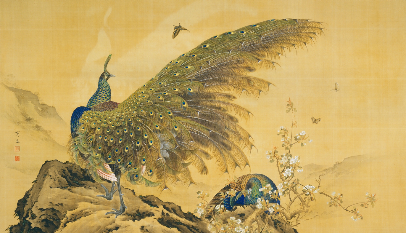 宮越鳳鳴　孔雀図 宮越鳳鳴孔雀図