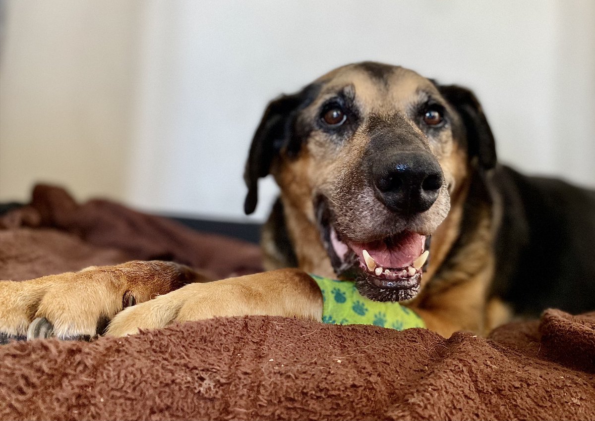 Andrzej z EU 🇪🇺🇵🇱🇺🇦🇮🇱 tweet media