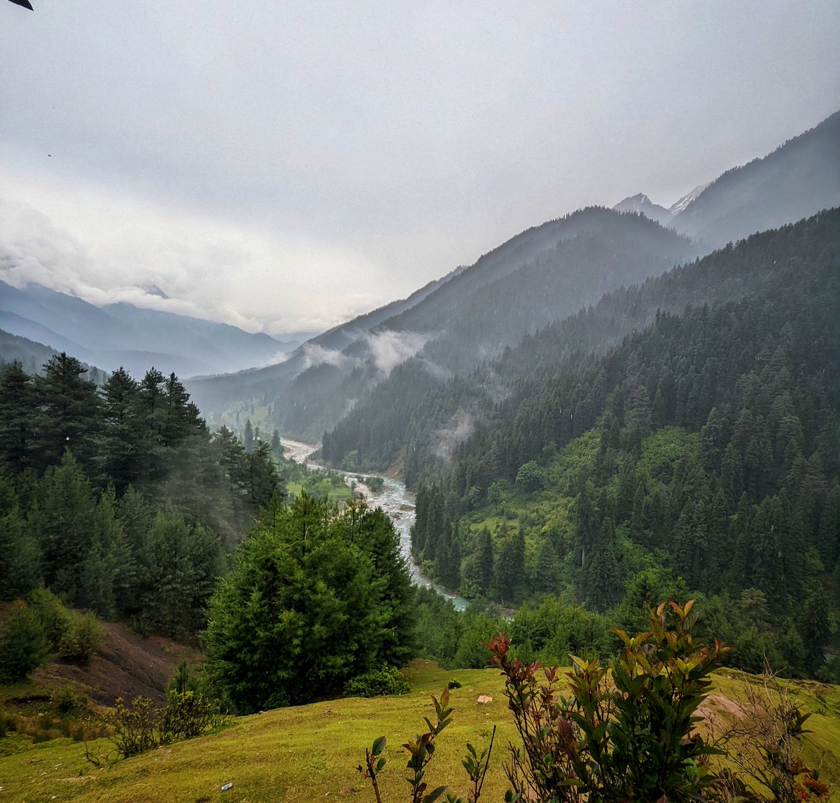 Another one 

#nft #NFTphotos #nftphotography #kashmir 
#mountains