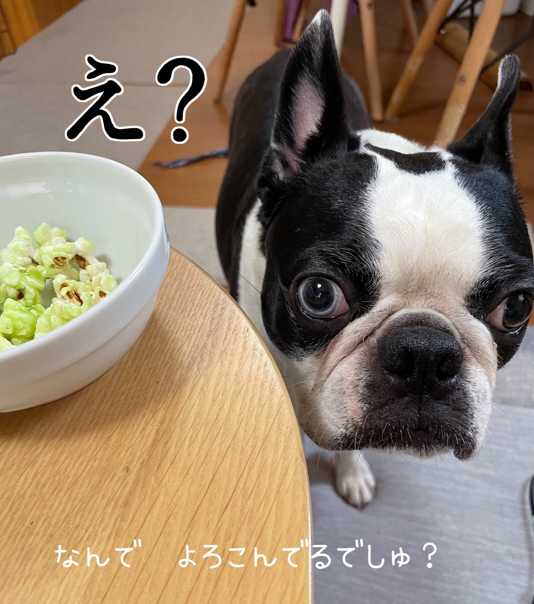 تويتر ぷくぴさ على تويتر 食べたいと思って早10年 ついに取り寄せたクリームソーダポップコーン ボス太にカツアゲされそうになったけど死守したぞ これは犬が食べるもんじゃありません ボストンテリア クリームソーダポップコーン ポップコーンパパ