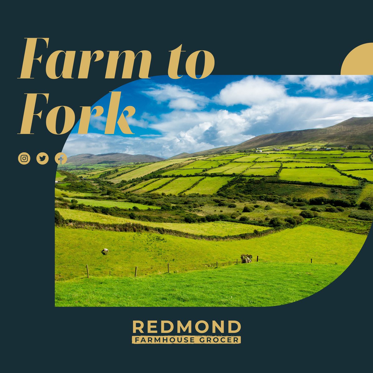 RedmondFarmhouseGrocer tweet media