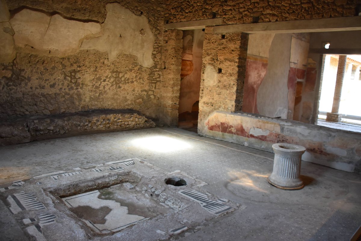 pompeii_sites's tweet photo. Lo scheletro di un cavallo e la casa di Cerere, due importanti novità si aggiungono all'offerta di visita del Parco archeologico di Pompei. https://t.co/omm93r2prF