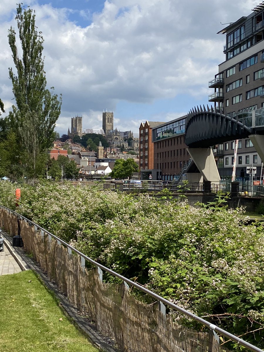 hannahjsellers's tweet image. In Lincoln ready for #ProgPal22 conference ⛪️