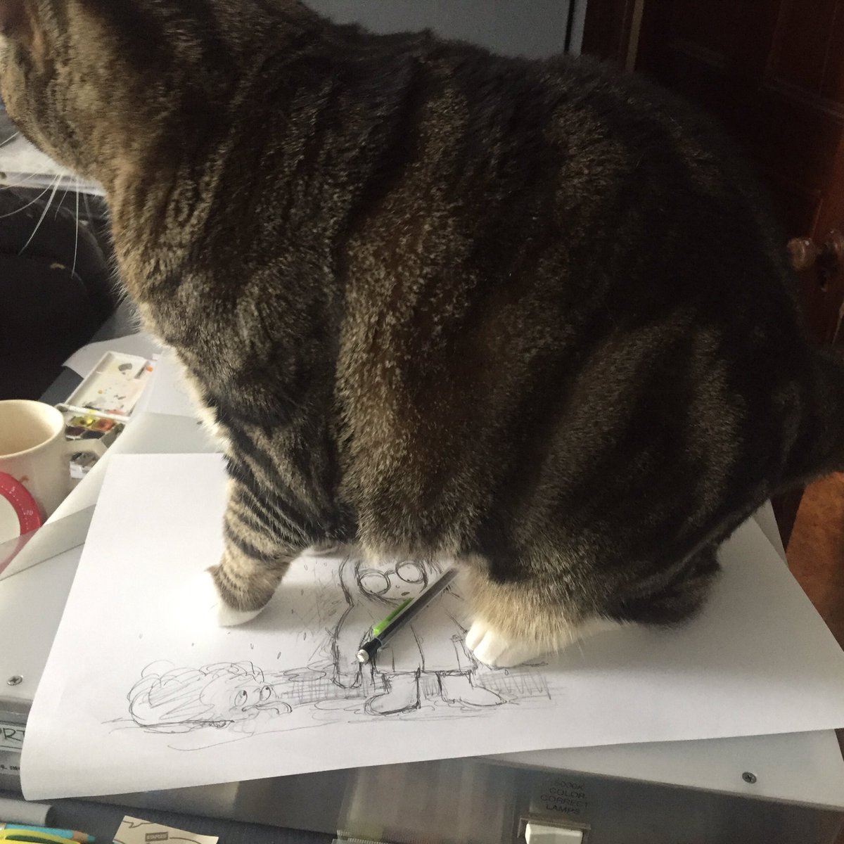 Kitty Quotient: the amount of time that must be factored into any project for giving extra attention to your cats.