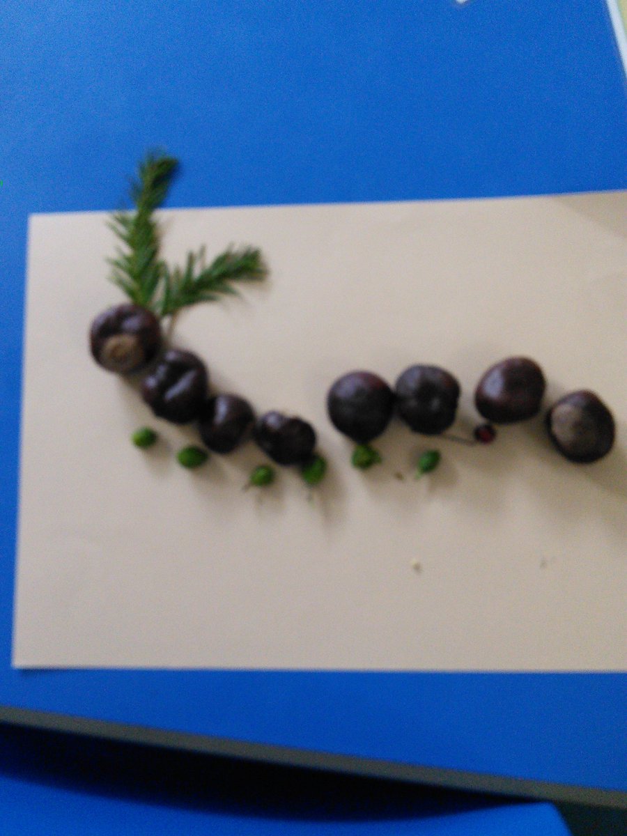 MrsRyans_class's tweet photo. We are finding out about minibeasts in Science. We made these using natural materials. https://t.co/LleMd6sKus