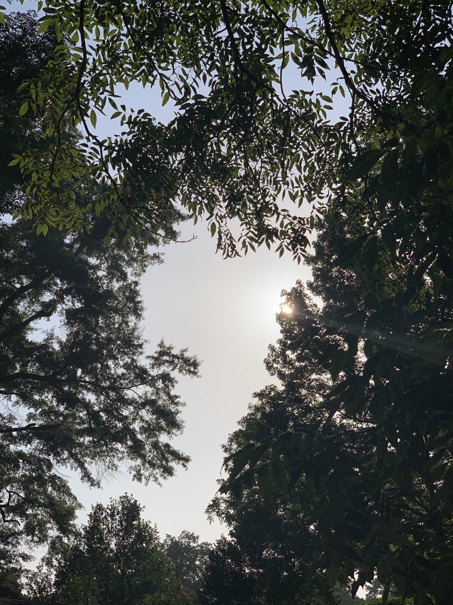 okamoto_sandra's tweet photo. Good morning, Columbus! My toe is still sore; resting today. #ColumbusGA #mydailyphoto #06/14/2022 #2022project #clearbluesky #sunbright #alreadyhot #veryhumid #tinybreeze #raininforecastlater #birdsveryloud #neighborsdogsquiet https://t.co/28mfpEokKd
