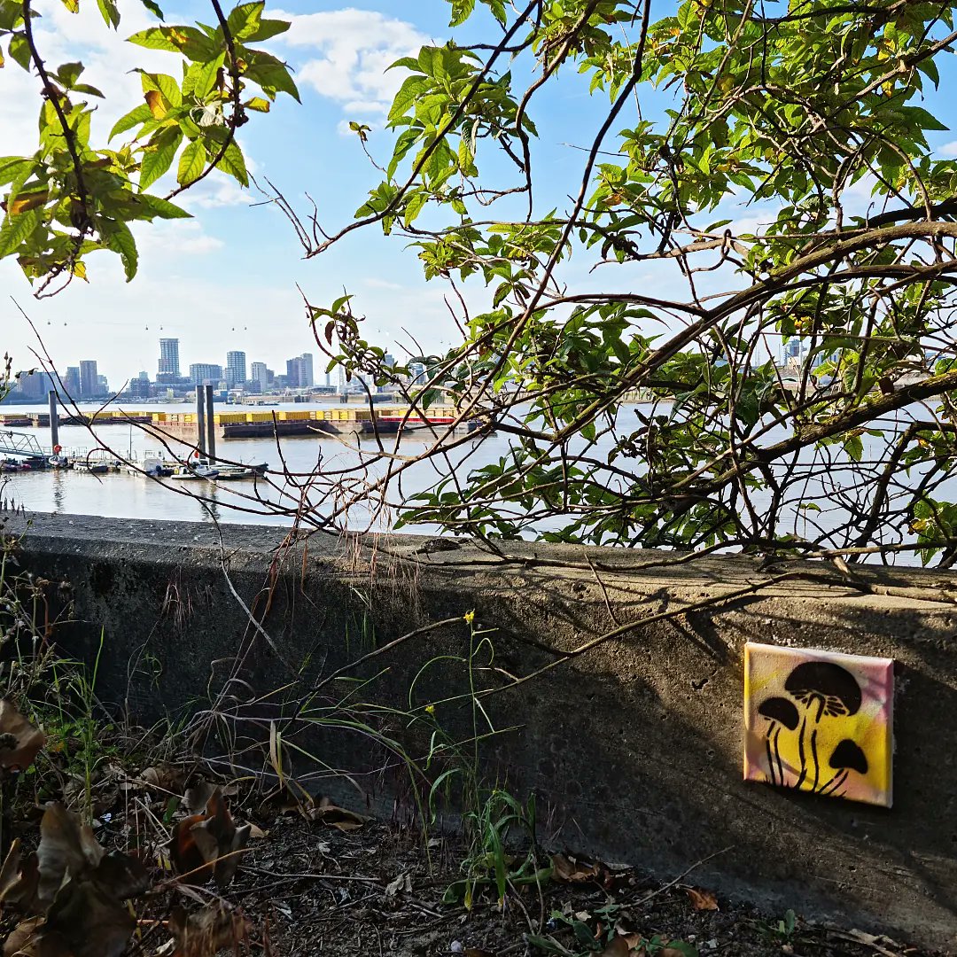 DustyOhms's tweet photo. Myself and a few friends took part in #ShroomDrop 2022 at the weekend π
If any peeps in S.E. London wanna hunt the shroom art we made, here's where all the clues can be found....
https://t.co/pjuLpkd6ow https://t.co/aJhT1b9KYR