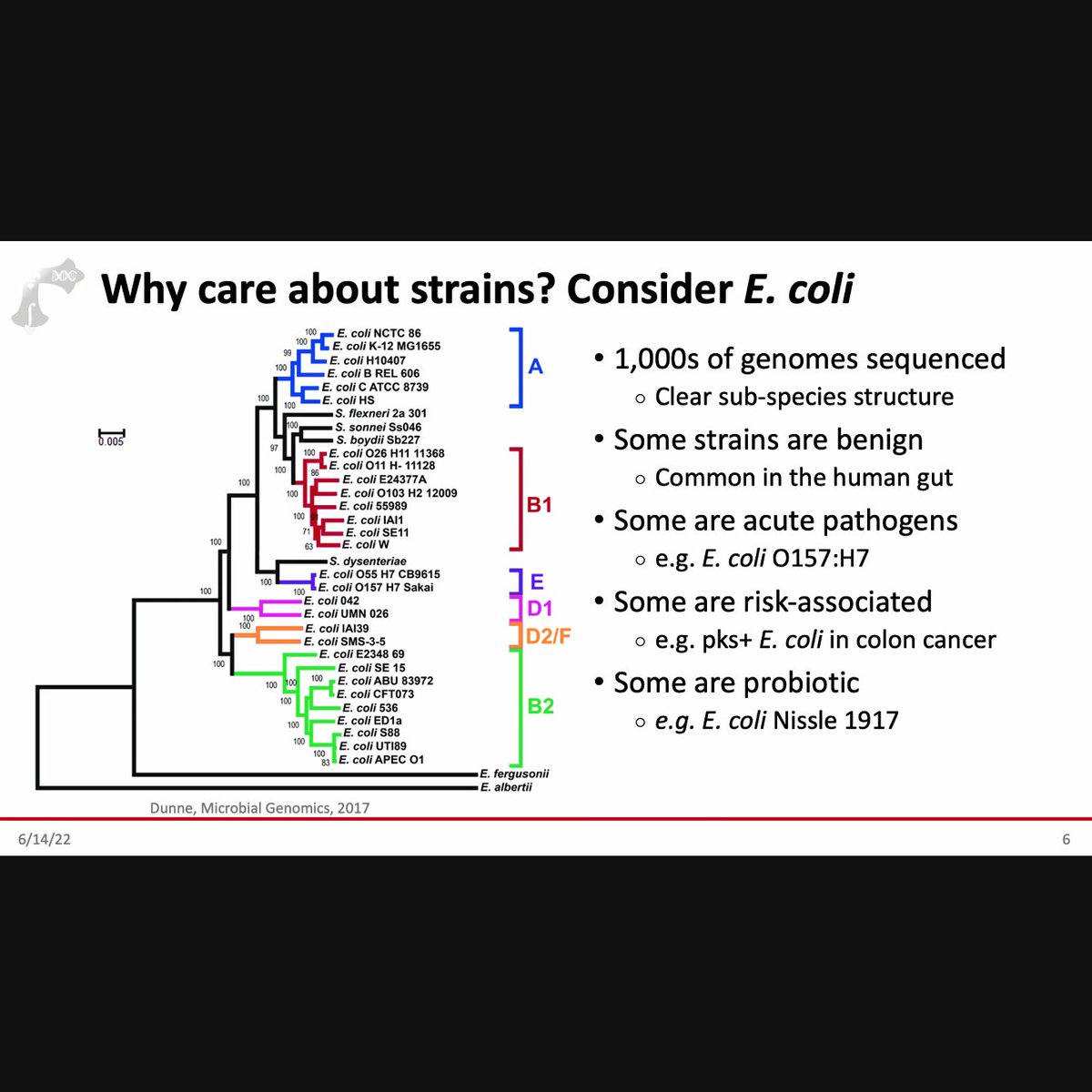 _jake_robinson's tweet image. Learning about intra-species functional diversity and why it matters for human and ecosystem health 🦠🧑‍🤝‍🧑🌳  - fascinating &amp;amp; complex!
via the @Physacourses #metagenomics / #metatranscriptomics course led by the Huttenhower lab.