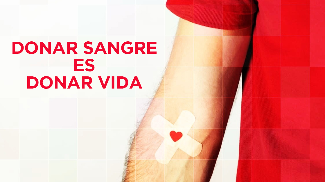 RodrigoMolinos's tweet photo. En el #DíaMundiaDelDonanteDeSangre concienticemos sobre esta práctica que beneficia a millones de personas en todo el país.
Donar sangre es un acto de amor, donar sangre es donar vida. 🩸 https://t.co/V3tlTxJaeY