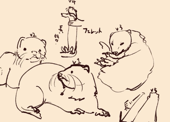 @19nosizima フェレット!!!!マークちゃ!!!!マークちゃんすごくかわいいです
意外とお顔が難しかった… 