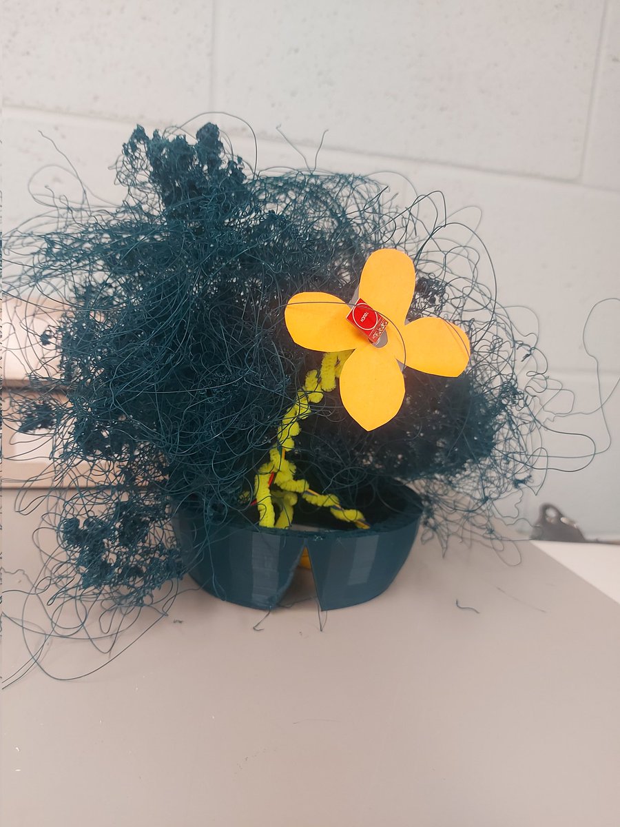 BethDoiron tweet media