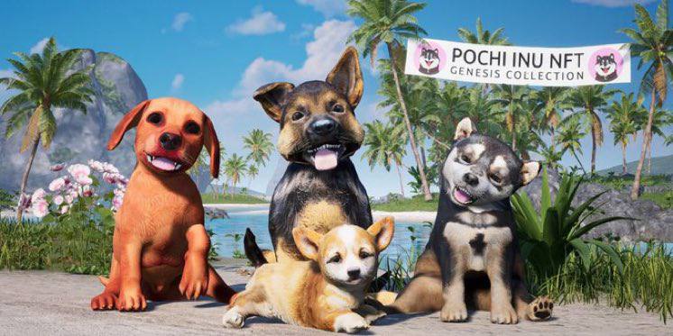 Big Bunny Crypto tweet media