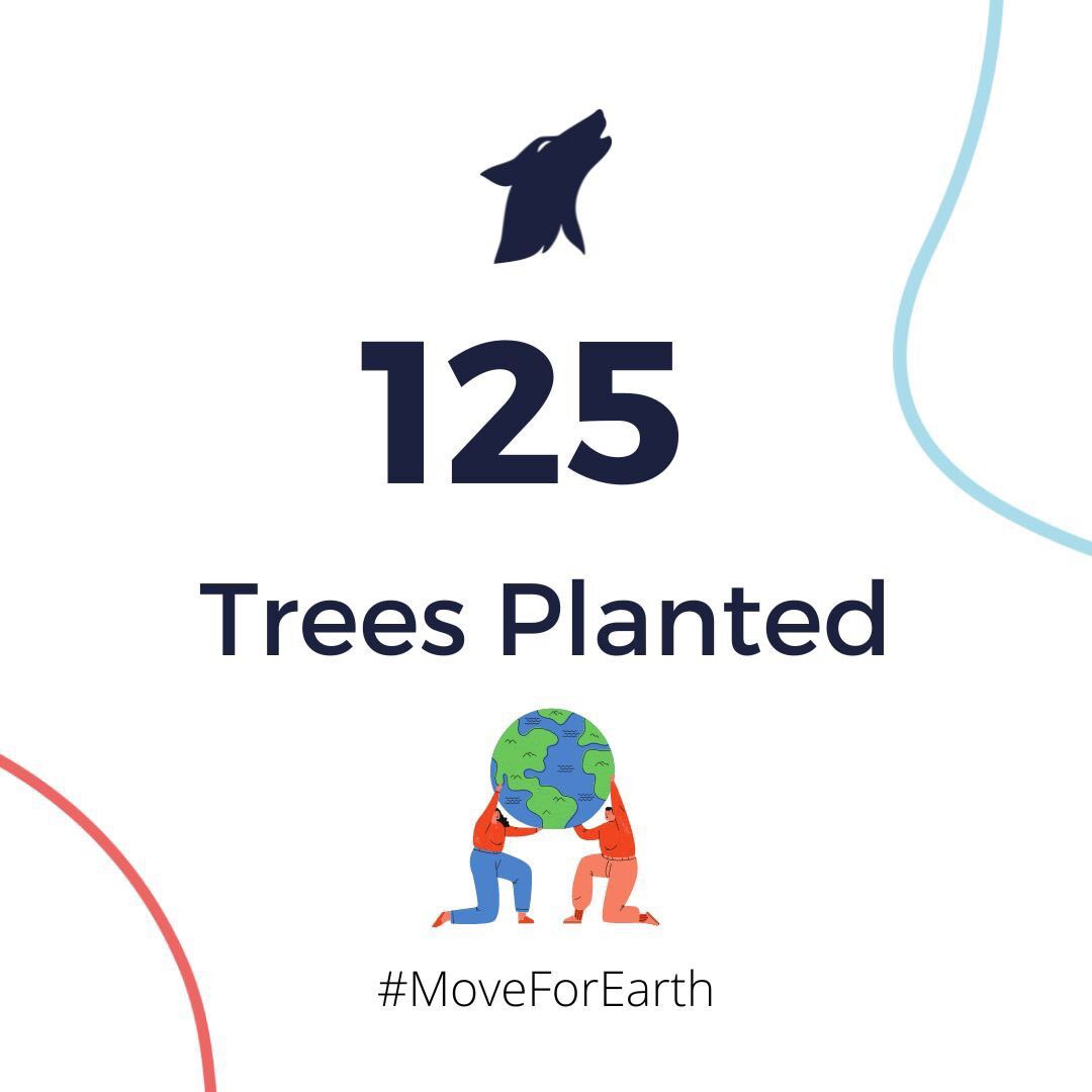 LupaRun's tweet photo. 125 Trees Planted!!

We are delighted to announce that the runs and walks completed by our community during Move For Earth Week have resulted in 125 trees being planted with the World Land Trust!

Thank you to everyone who supported! 🌳

#LupaRun #MoveForEarth https://t.co/pQre5hM4Ye