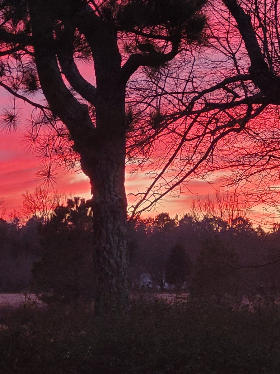 Sunset through my window